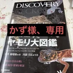 Item thumbnail for item be6d197d-219a-4838-818a-7f2e5a2d7a80