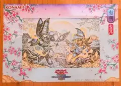 遊戯王 Yu-Gi-Oh! WCS 2026 ポストカード②