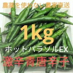 激辛青唐辛子❗ 1kg 農薬を使わない農家直送のサムネイル