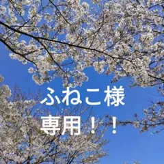 ふねこ様　専用！