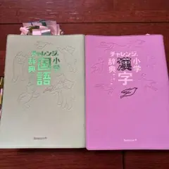 チャレンジ 小学 国語 漢字 辞典 セット