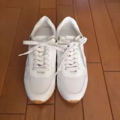 Item thumbnail for item 95d5203a-c242-4ef2-9f91-dd4c46a54056