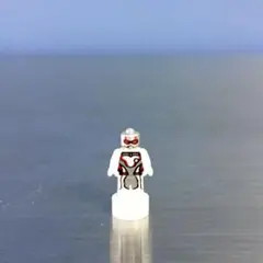 LEGO アベンジャーズ アントマン マイクロフィギュア