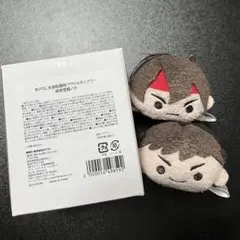 2026年最新】亜双義一真 ぬいぐるみの人気アイテム - メルカリ
