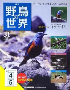 週刊 野鳥の世界 NO.31 2010年10/05号 イソヒヨドリ