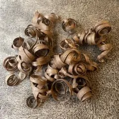 Item thumbnail for item 2e0553c4-9d4e-47dc-9988-25dc740bf817