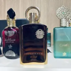 ♡AFNAN SUPREMACY IN OUD100ml アラビア香水 UAE製 - メルカリ
