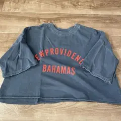 coca 半袖　五分丈　ショート丈トップス ワンサイズ