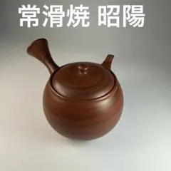 梅原玉堂】 常滑焼 希少 平菊無地急須 - メルカリ