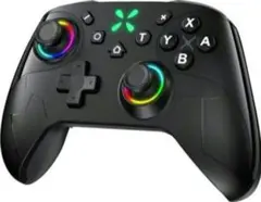 Switch2 コントローラー 6軸ジャイロセンサー搭載 背面ボタン付き