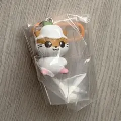 【1個・リーフレット付・早い者勝ち】サンリオキャラクターズ カラともマスコット