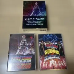 EXILE TRIBE/EXILE TRIBE PERFECT YEAR LI…