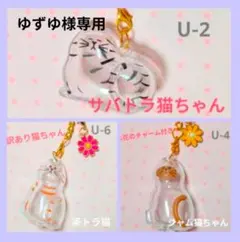 2026年最新】サバトラ猫ちゃんの人気アイテム - メルカリ