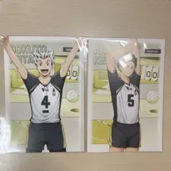 木兎光太郎 赤葦京治 ポストカード