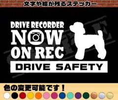 Item thumbnail for item 7914d660-cfd7-4d85-a378-824945454900