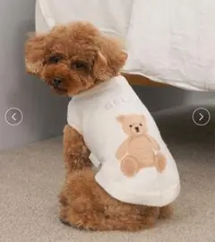 Item thumbnail for item 5efb8dc3-8325-41a3-9ed8-3f49c449acb2