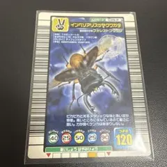 2026年最新】インペリアリスツヤクワガタの人気アイテム - メルカリ