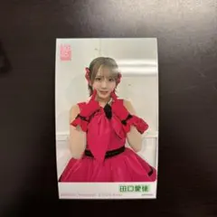 AKB48 ガラポン 3月 生写真 田口愛佳