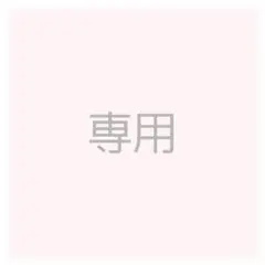 専用ページ