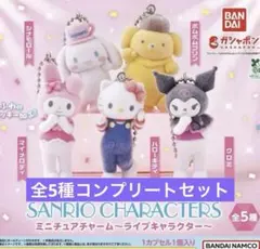 【全5種】サンリオキャラクターズ　 ミニチュアチャーム　～ライブキャラクター～