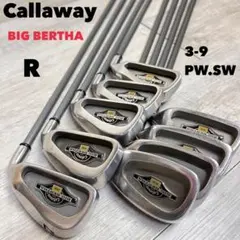 Item thumbnail for item c2b754f3-b272-4e65-b96b-772e41babe01