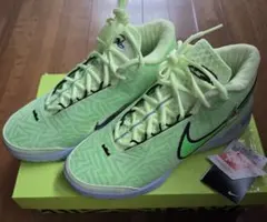 NIKE LEBRON XXI EP Jade Ice 28cm レブロン21 - メルカリ
