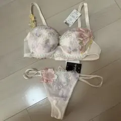 サルートブラジャーソングセットD70&Mサイズ