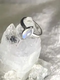 ふわ猫様 リクエスト 2点 まとめ商品