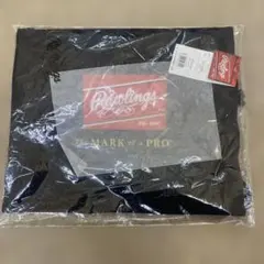 Item thumbnail for item 2934f6e9-c88c-4b3b-b563-5cd2ca00df2e