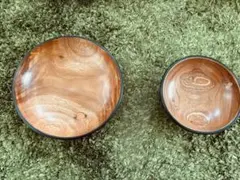 Item thumbnail for item 4247161e-27d3-417a-a0e8-9308f7ca8339