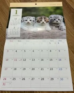 2027年 壁掛けカレンダー 子猫