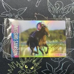 サラブレッドホースコレクション　メイショウサムソン　サイン