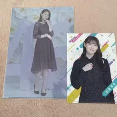 Item thumbnail for item 621bb4b2-d2e7-43a8-a364-2a0d80238ff1