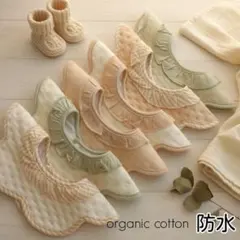 Item thumbnail for item db1dffe7-1f5f-45fe-9c58-4acda52fe31f