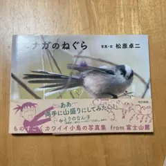 Item thumbnail for item 6e4094f0-1549-46d3-8370-a018f2ccde9c