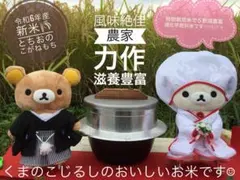 農家直販 減農薬 令和7年 こがねもち もち米 約25キロ 玄米 白米も可 