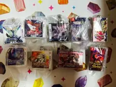 ポケモンセンター パッケージ ゲームカード キーホルダー マグネット 