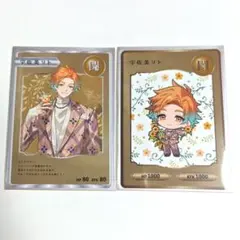 にじさんじ 宇佐美リト コレクションカード チェキ スリーブ入り