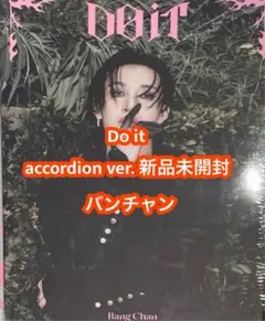 バンチャン 新品未開封 stray kids do it accodion d