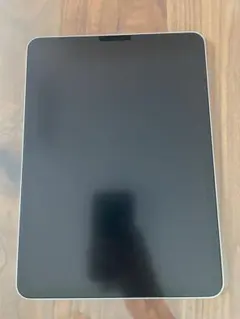 iPad Pro (11インチ) (第1世代)256GB セルラーモデル