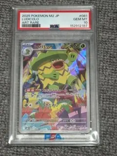 ルンパッパ AR PSA10 081/080 ポケモンカード - メルカリ