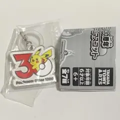 ガチャ　ポケモン30周年 メタルチャームマスコット　ピカチュウ　めじるし