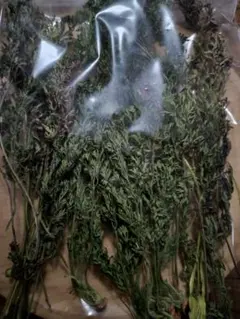 ごまさんさま♡専用