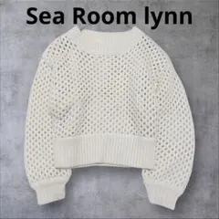 シールームリン　メッシュニット　ペザントンスリーブ　伊原葵さん着用　春コーデ