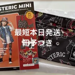 ヒステリックミニ　ヒスミニ　ローソン　バッグ　サコッシュ　ムック本