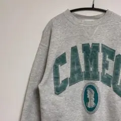 ヘインズ スウェットトレーナー USA製 vintage 90s プリント