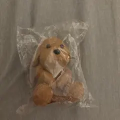 timelesz(SexyZone) いぬ キーホルダー