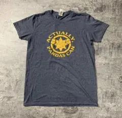 Tシャツ　半袖　US古着　センタープリント　ギルダン　E419