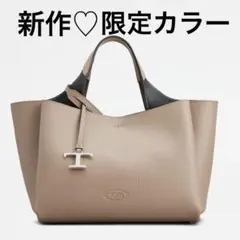 【カンタロウ様専用・新品同様】トッズレザーバックミニ