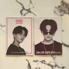 八木勇征 LDH LIVE-EXPO 2024 フォトカ